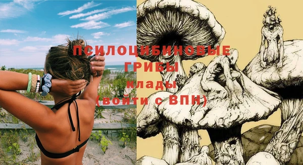 спиды Лихославль