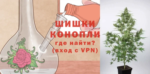 спайс Майский