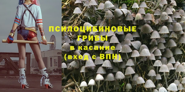 шишки Медногорск